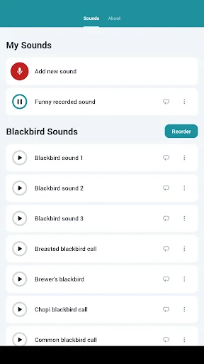 Baixar Blackbird Sounds – Melodias da Natureza para Relaxar Agora - Screenshot 7