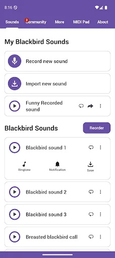 Baixar Blackbird Sounds – Melodias da Natureza para Relaxar Agora - Screenshot 1