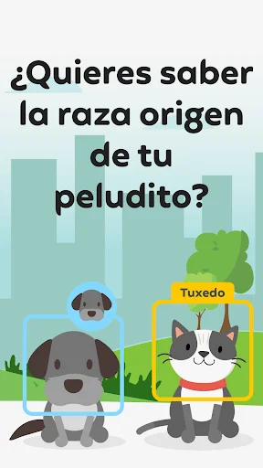 Qrarte: Conecte sua história com Arte via QR Code – Baixe Agora - Screenshot 23