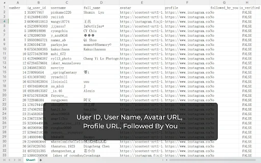 IG Followers Exporter: Exporte seguidores do Instagram para Excel - Screenshot 3