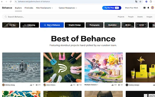 Behance Image Downloader – Baixe Imagens em Lote Facilmente - Screenshot 2