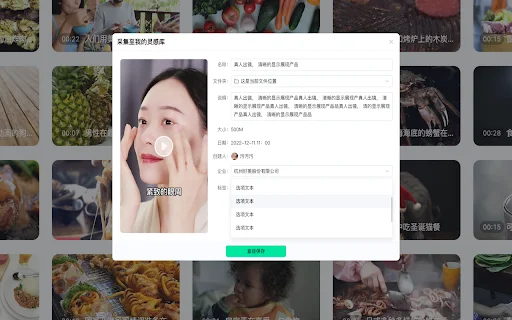 Video Ads Collection Tool – Colete Vídeos Criativos e Inspire-se - Screenshot 2