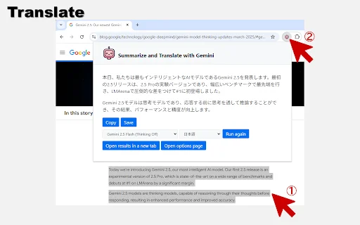 Summarize and Translate with Gemini: Resumos e Traduções Ágeis - Screenshot 3