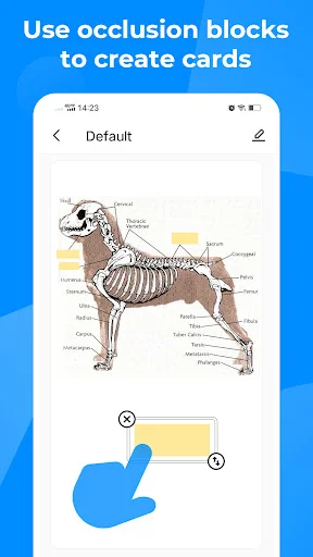Baixar Knowlet: Flashcards e Estudo Eficiente para Provas - Screenshot 8