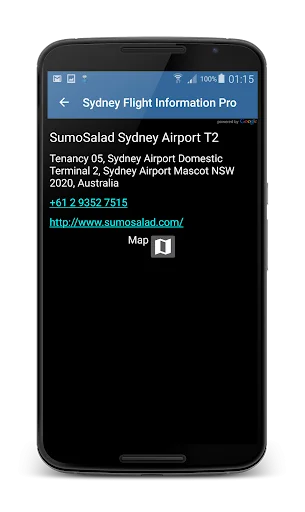 Orlando Airport Flight Info: O Guia Essencial para Sua Viagem - Screenshot 5